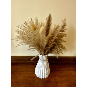 Száraz virág Dekoráció Bézs-Barna